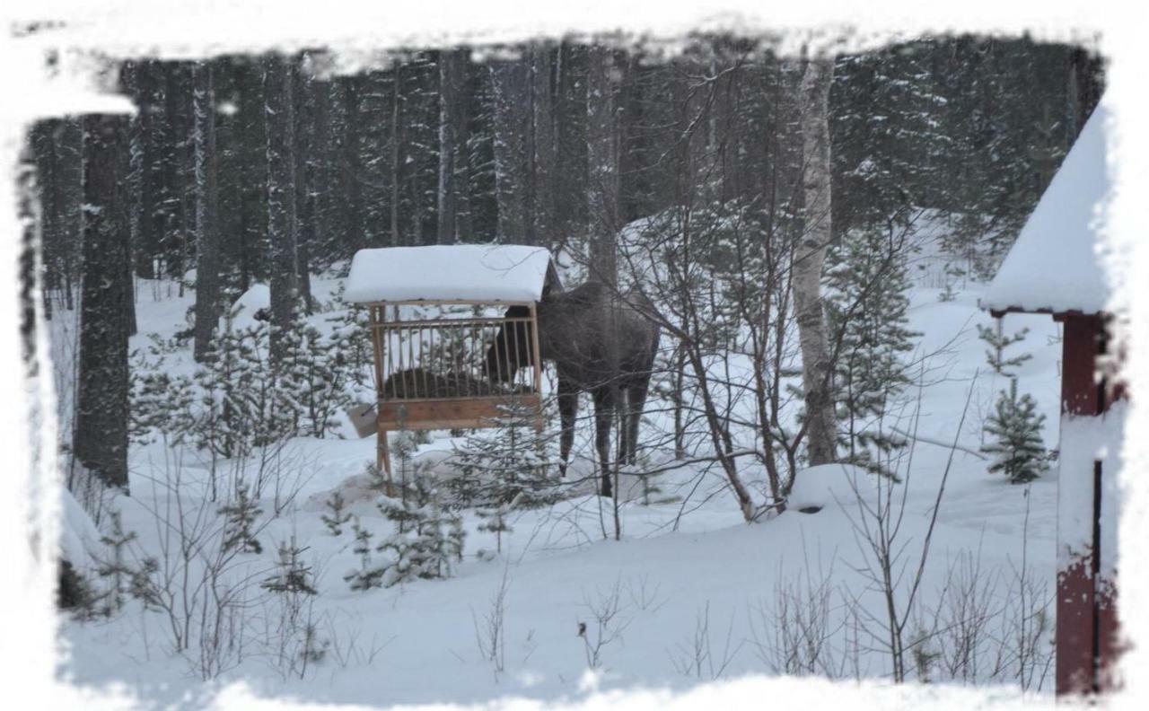 Haus Am Lachsfluss Villa Nedre Norra Ornas Esterno foto